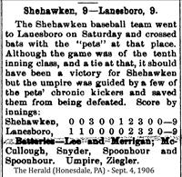 Baseball Team (Laneboro, PA 1906)